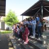 zharfa2019 (2)